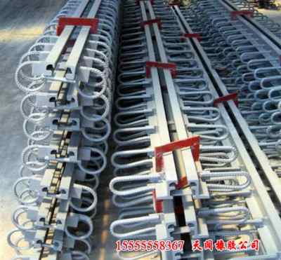 重庆诚信合作 探索摄影灯泡与光波网的技术交流新篇章